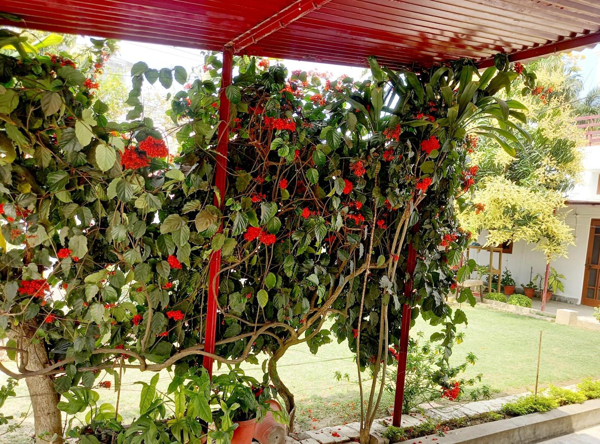 مبيت وإفطار لاكناو Garden View Residency المظهر الخارجي الصورة